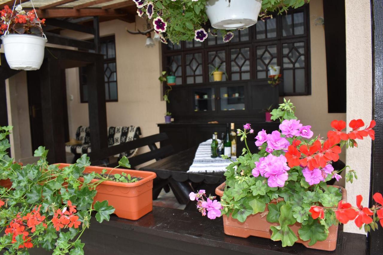 Clematis House Vila Voronet Exterior foto