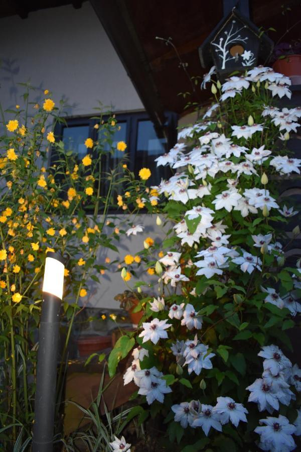 Clematis House Vila Voronet Exterior foto
