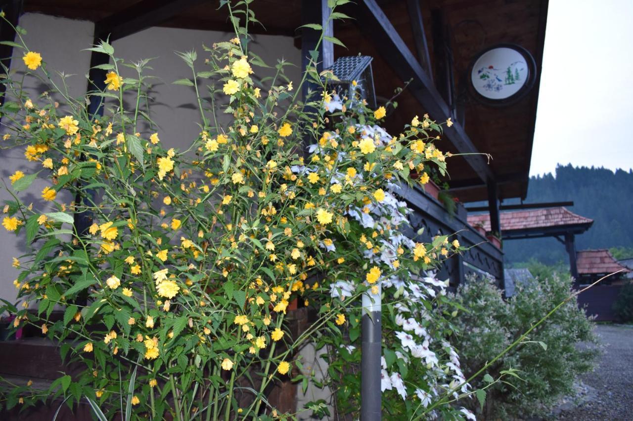 Clematis House Vila Voronet Exterior foto