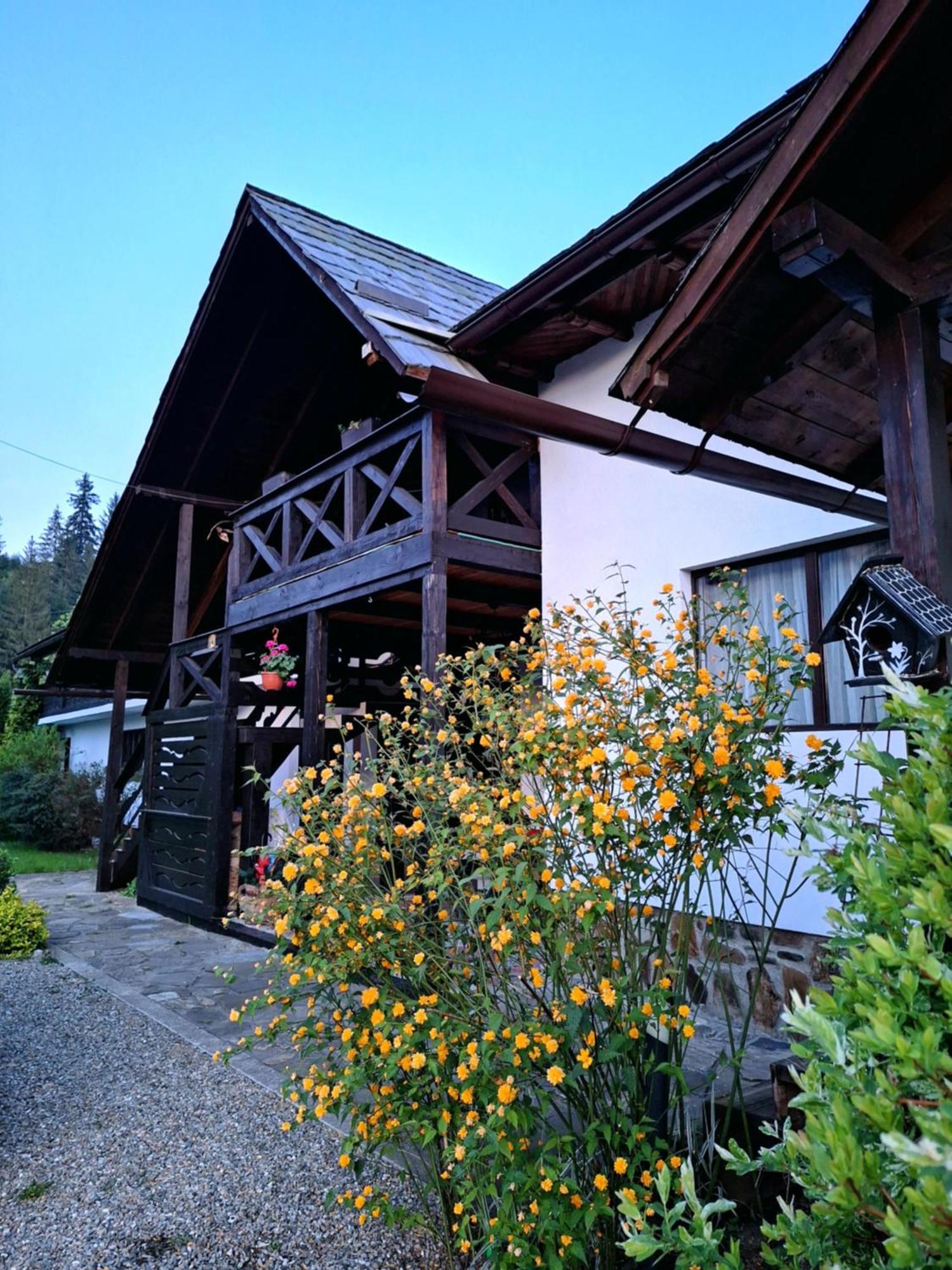 Clematis House Vila Voronet Exterior foto